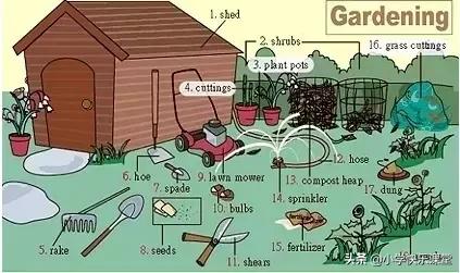 小学一二年级英语单词分类汇总,小学英语高效学习方法和技巧