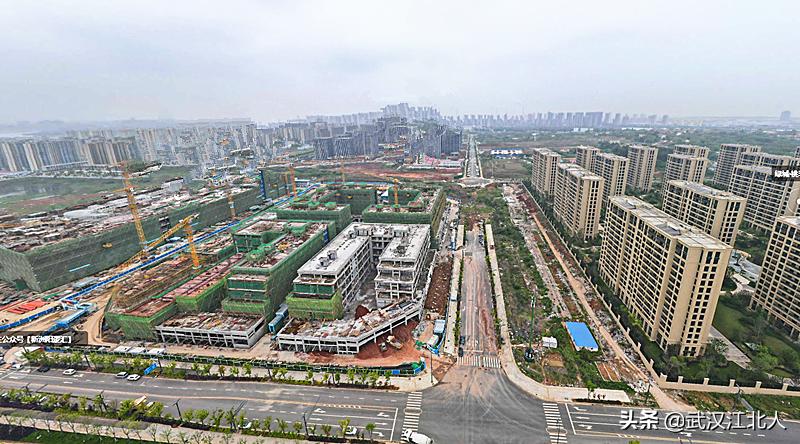 武汉长江新区阳逻发展,长江新区重点发展阳逻还是武湖