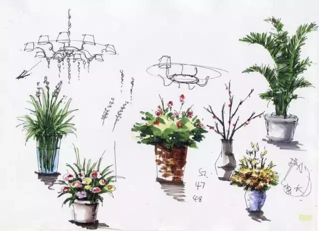 动漫手绘教程水溶彩铅上色技法,手绘教程零基础入门上色