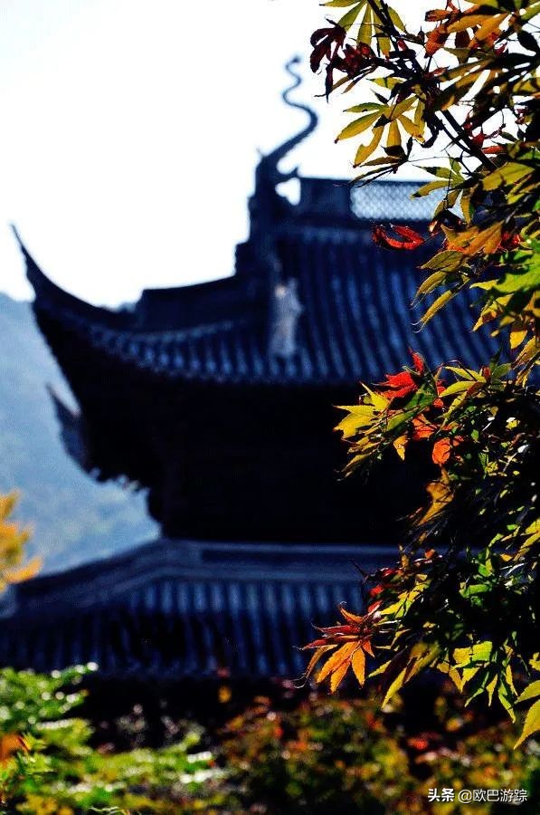 绍兴古道攻略一日游自由行,此生必去的三条国道