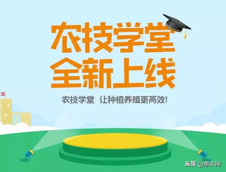 免费农技学堂惠农网,三农网种植技术指南最新版