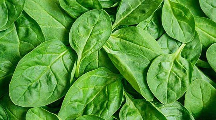 含钙量最高又便宜的蔬菜,含钙高的食物有哪些排行榜