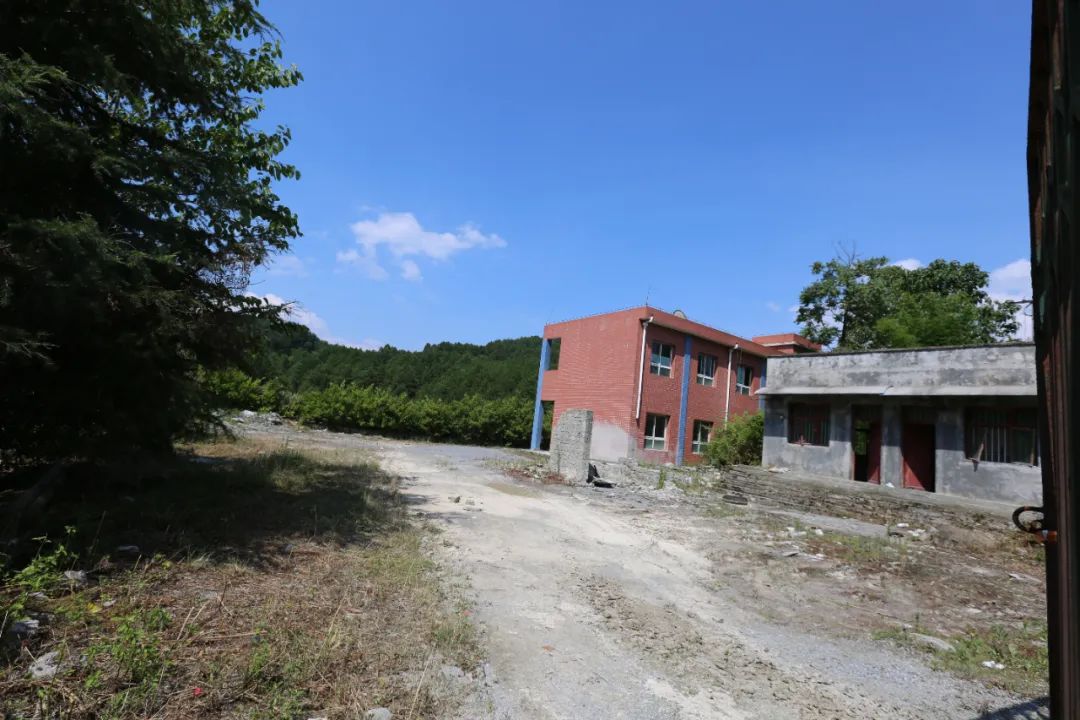 古天乐小学现状,古天乐贫困小学