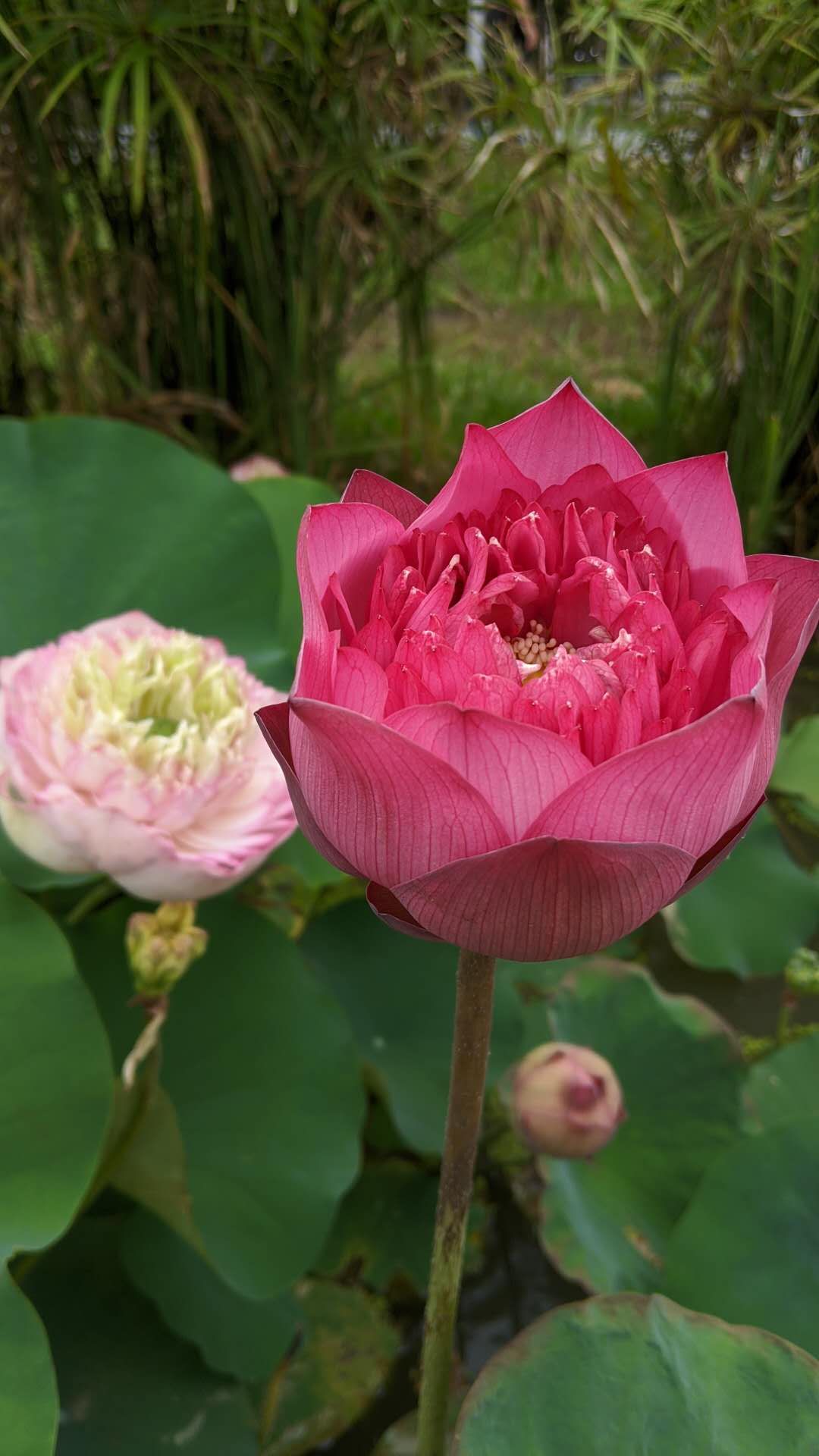 再见七月你好八月句子,再见七月你好八月视频