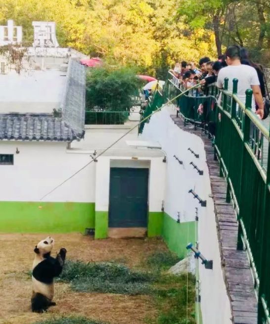 博山区年审,博山年审