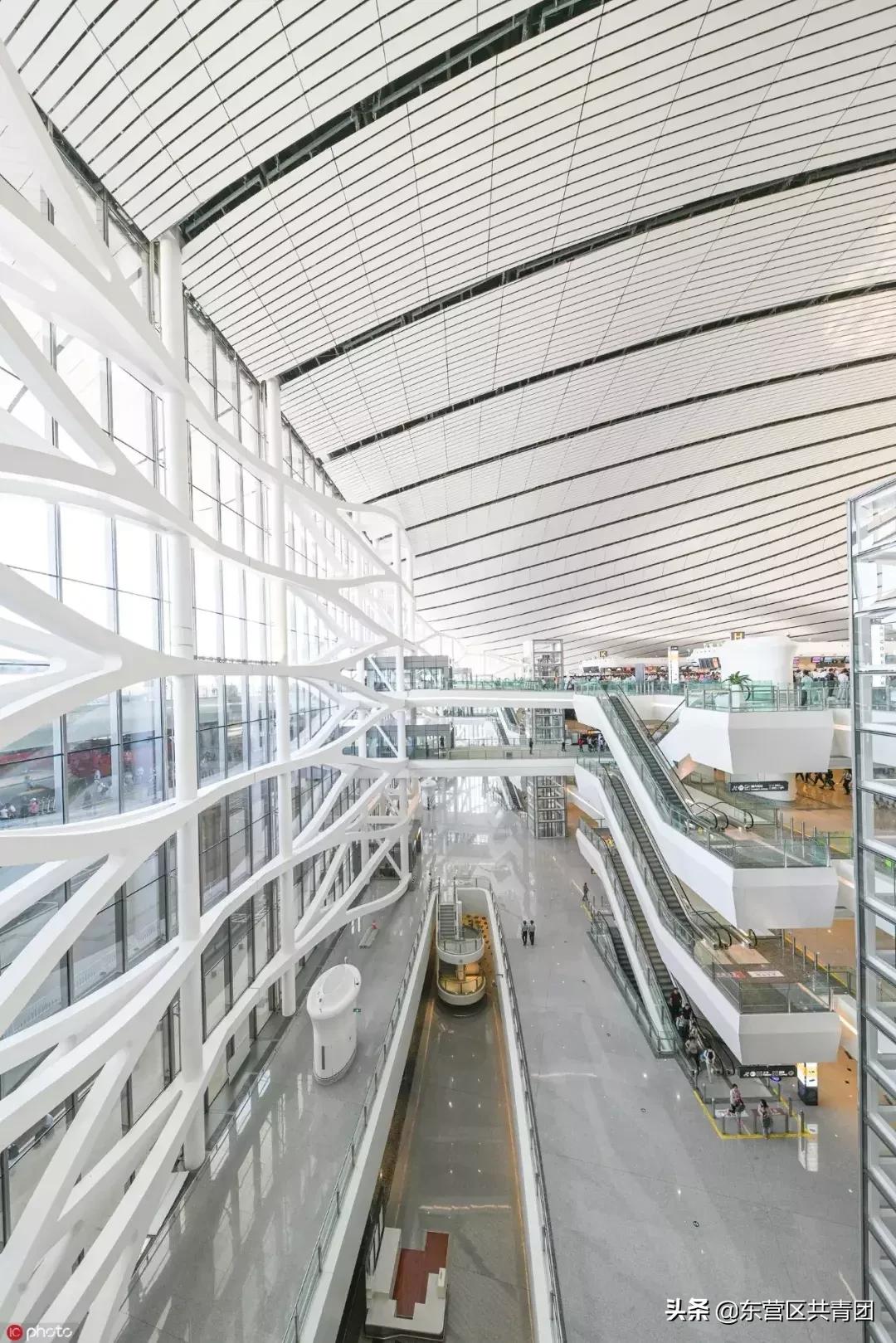 这也太牛了赞,这也太努力了表情包