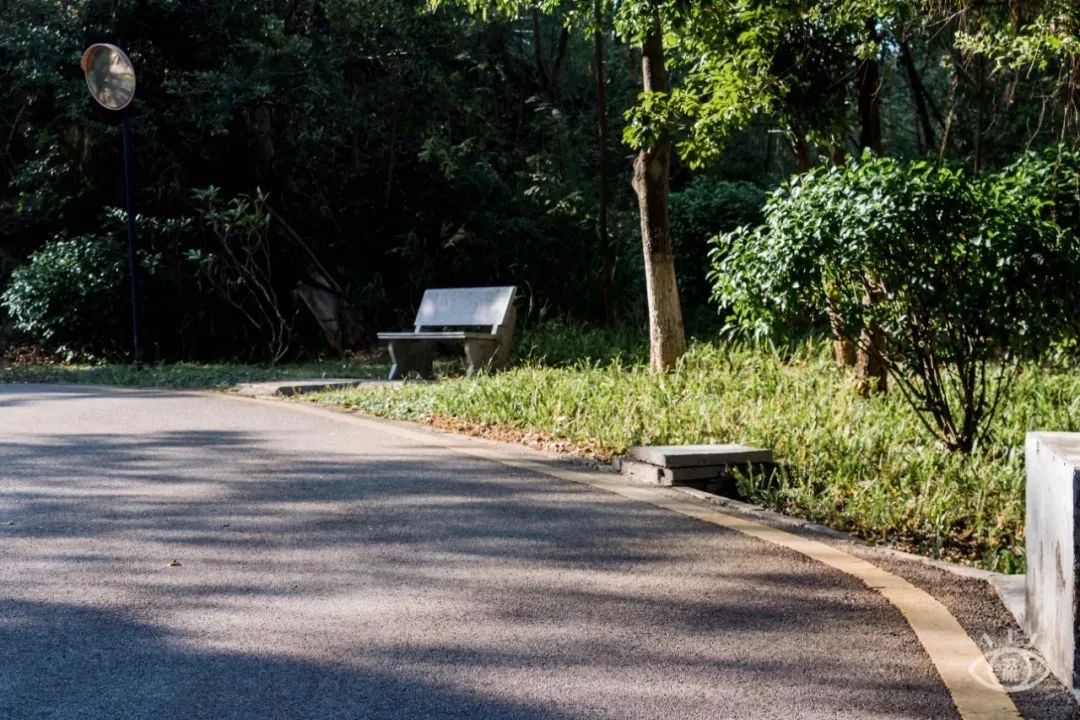 放假在深圳能去哪里玩,放假了可以去深圳的哪些地方玩