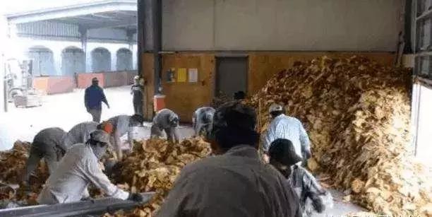 现在软中华329多少钱一包,一包软中华成本多少钱