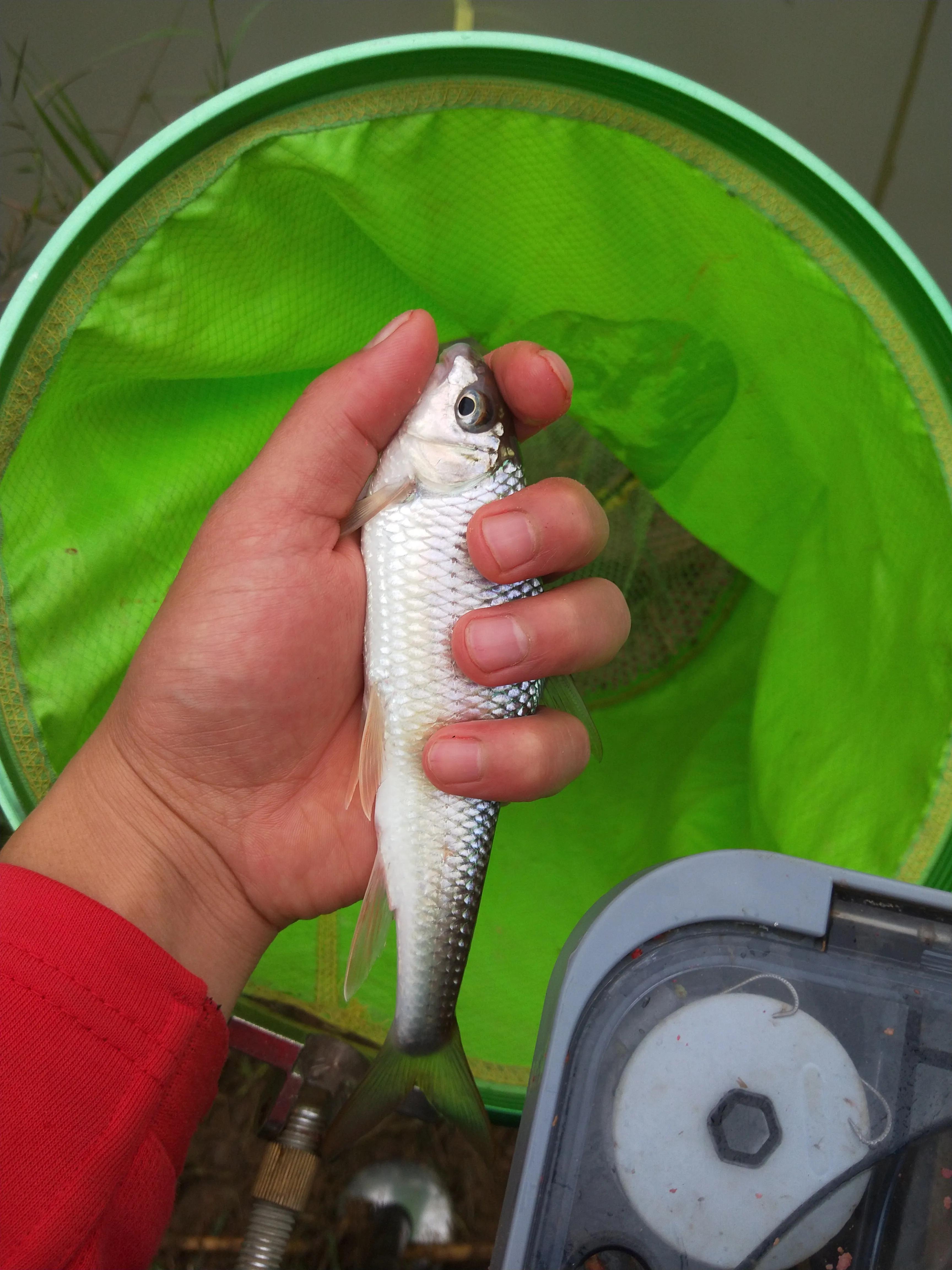 进阶型钓竿,新手钓鱼进阶教学