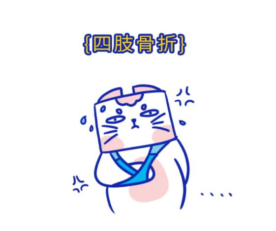 怎么判断小猫咪骨折,小猫咪脊椎受伤最佳恢复方法