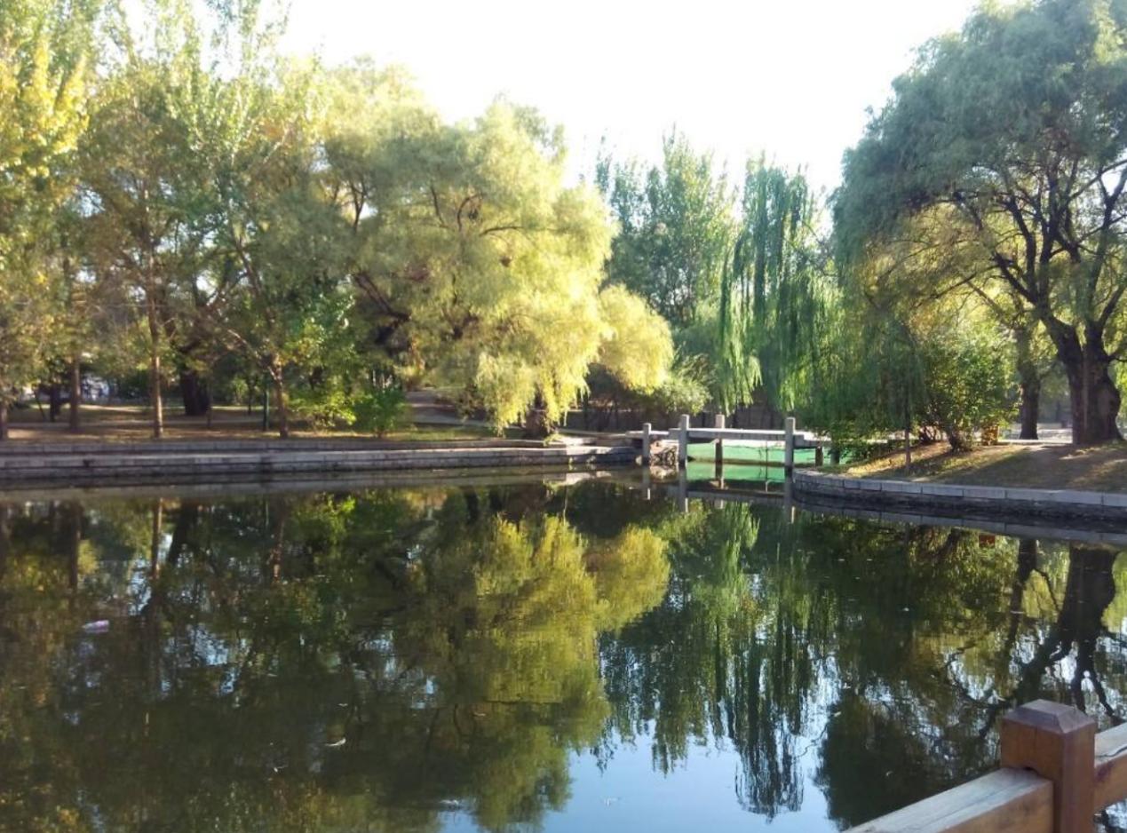 沈阳周边城市的森林公园,沈阳打卡景点公园