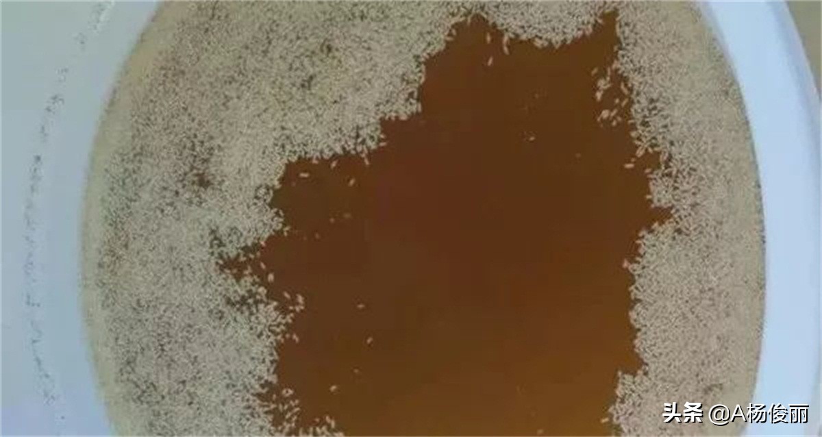 唐三镜真粮酒坊,唐三镜酿酒设备好不好