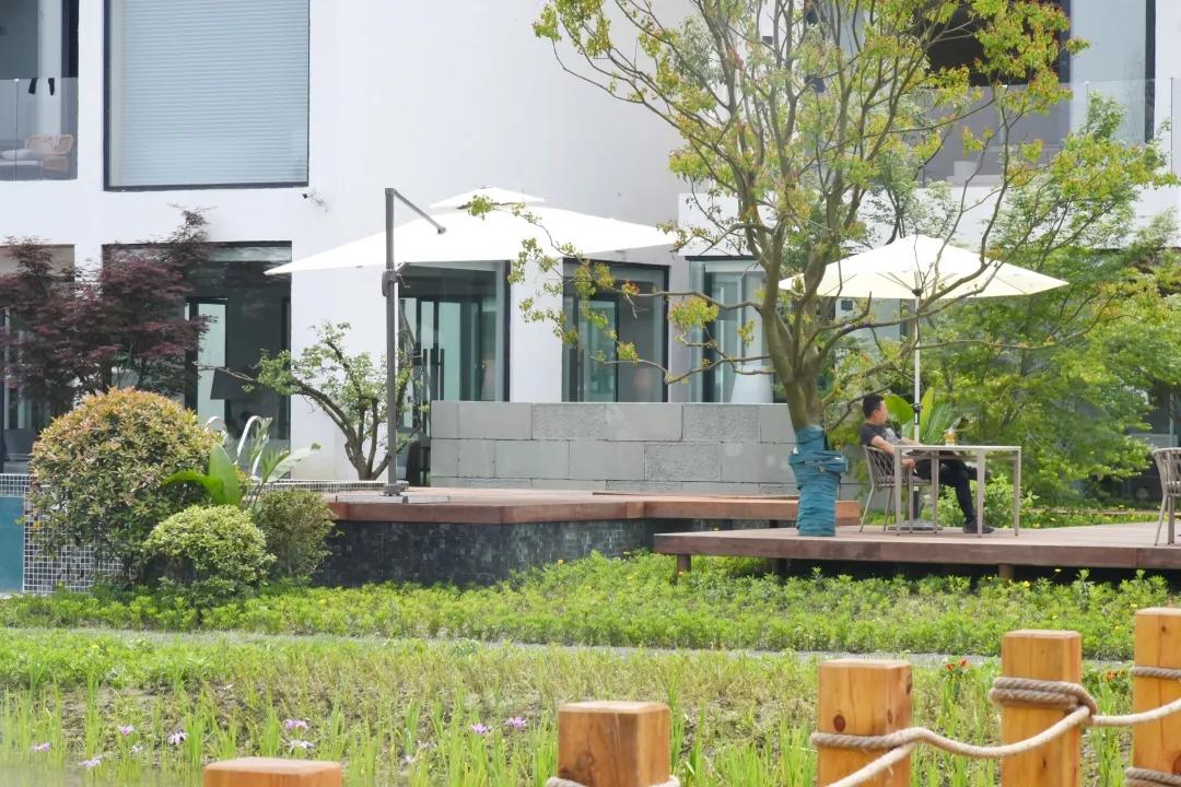 瑙呰叮灏忛晣褰窞,瑙呰叮灏忛晣宕囧窞