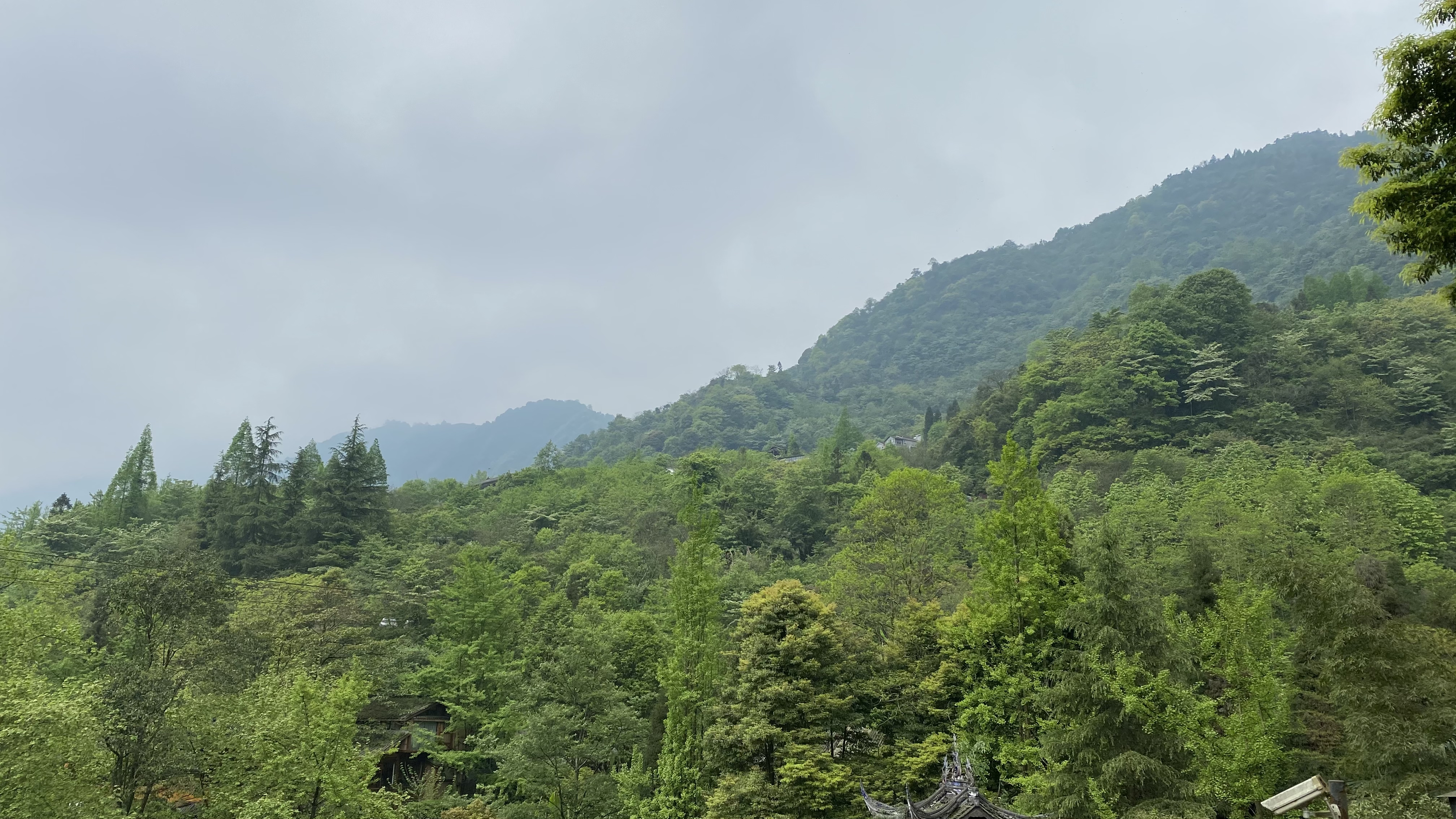 炒期货的骗局揭秘图解大全,期货属于诈骗还是非法经营