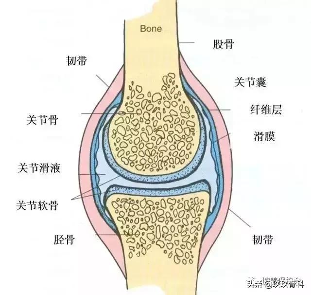 膝盖肿胀疼痛，滑膜炎找上门，要如何应对？