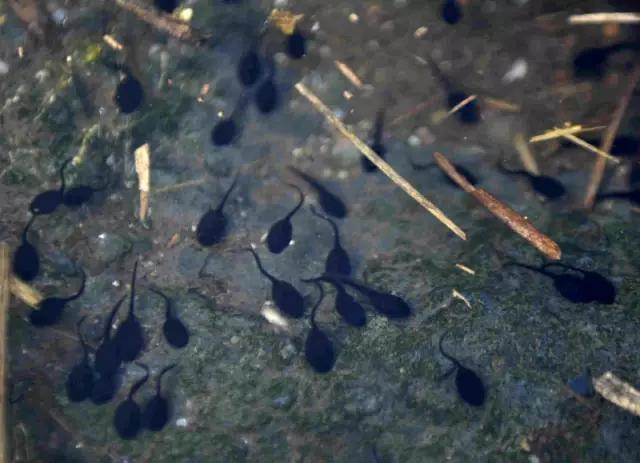 临港适合看书的地方,上海临港有没有读书的地方