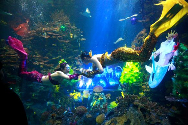 上海必去的十大景点排名,上海近郊冷门却值得一游的好去处