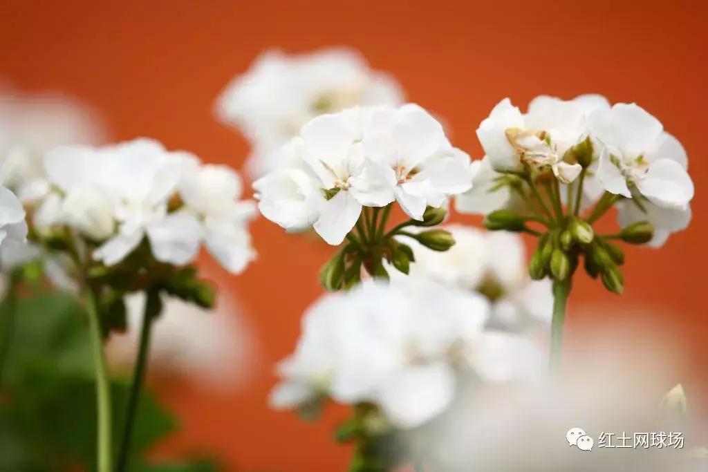 动感都会城市,动感都会