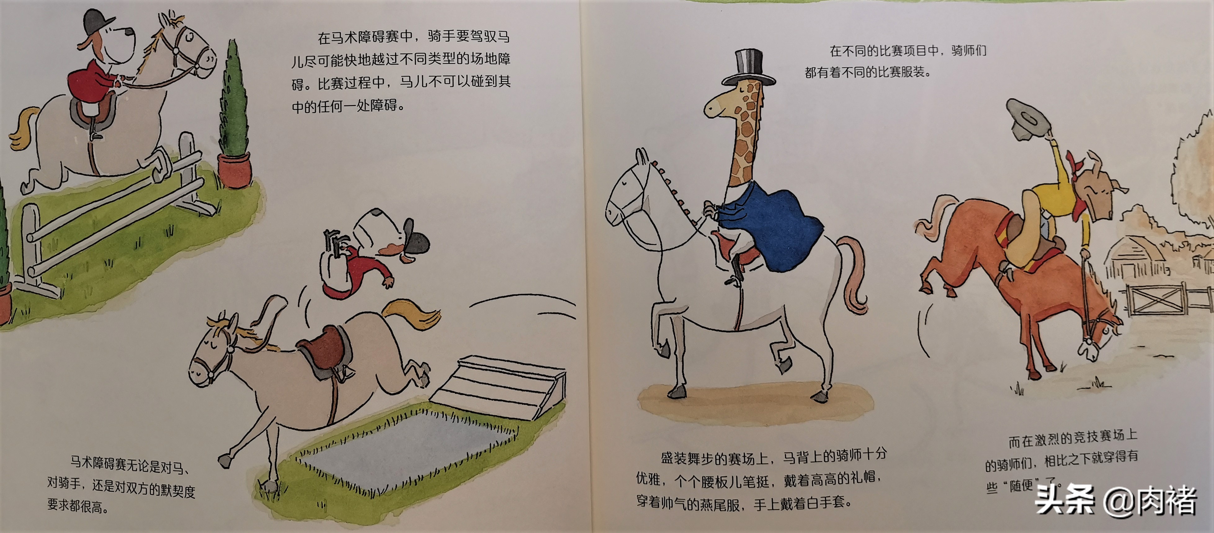 让孩子发现运动的乐趣并爱上运动,蠢萌动物