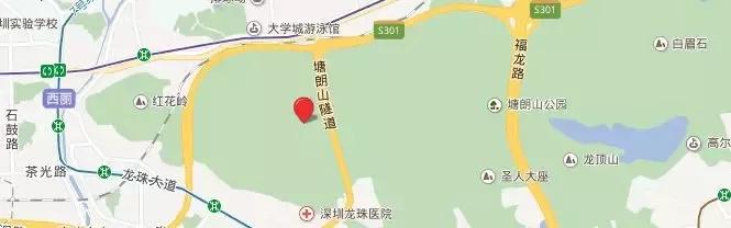 深圳西丽高铁枢纽建设最新情况,深圳高铁西丽站规划