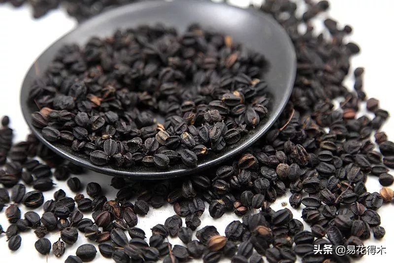 刺五加和五加皮的区别图片对比,刺五加是种什么药材