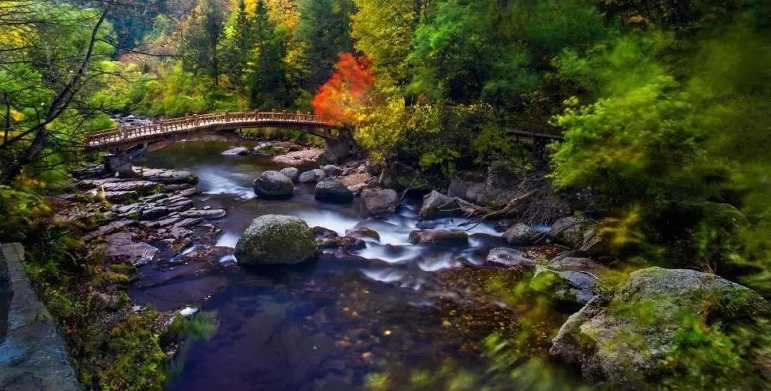 旅游景点畅玩团购,景点游玩优惠团购