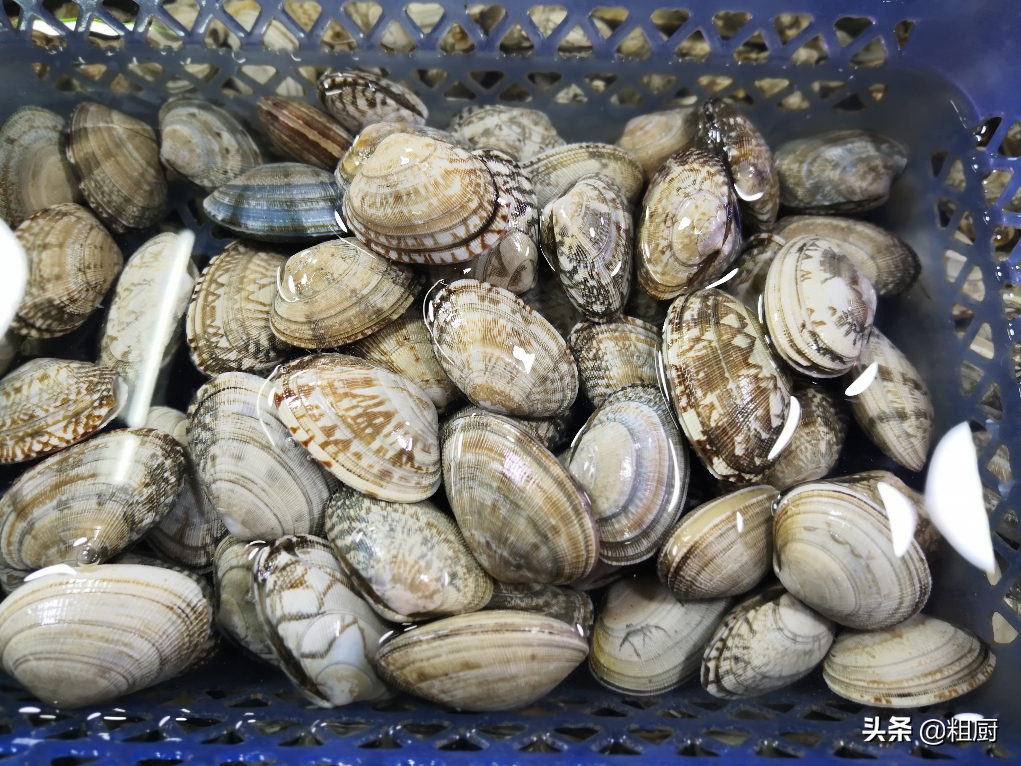 花甲小煎鸡做法,花甲煎鸡做法