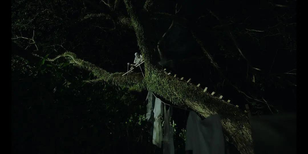 有关《南巫》的多重意境的解构，都在这里了