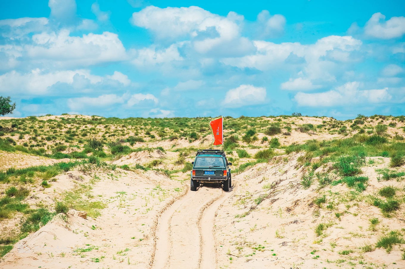 八月的锡林郭勒,8月的锡林郭勒