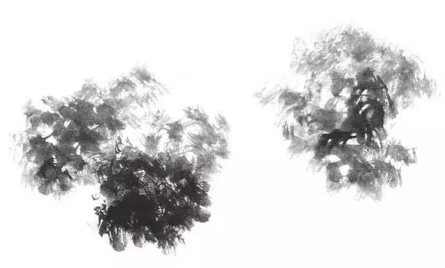 白描荷花的画法图片,如何画荷花白描大片