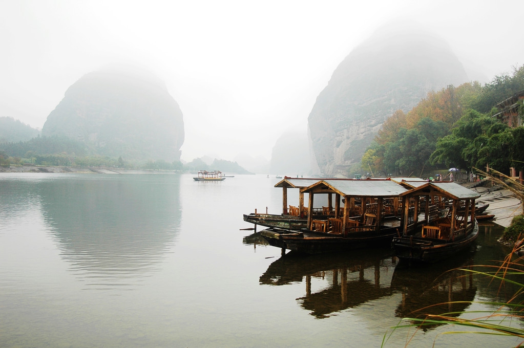 千年铁树会开花传言,关于铁树的传说