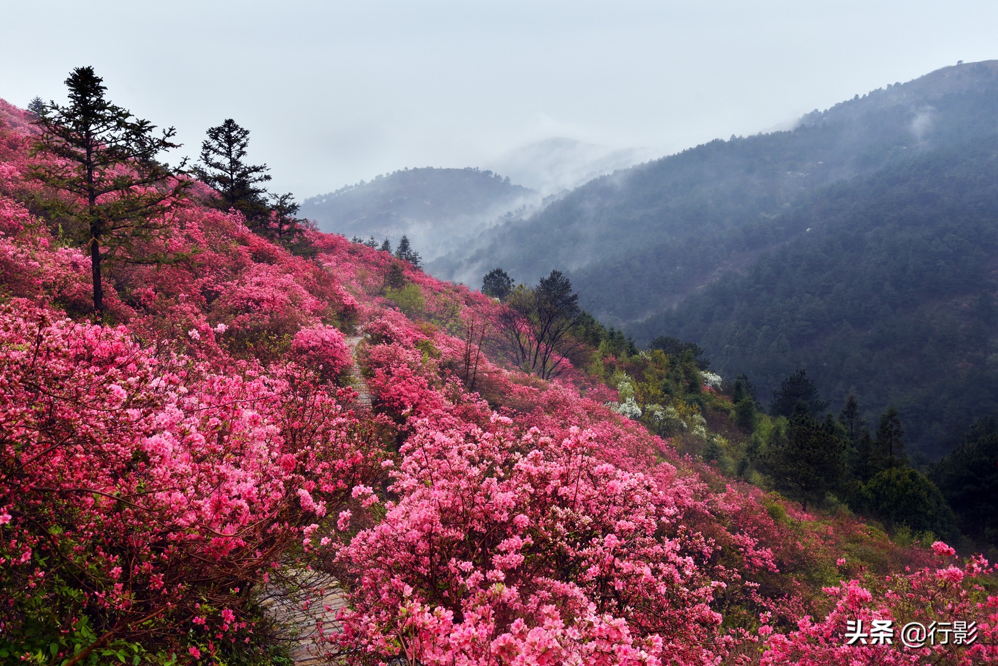 武汉青山网红打卡景点,云雾山武汉