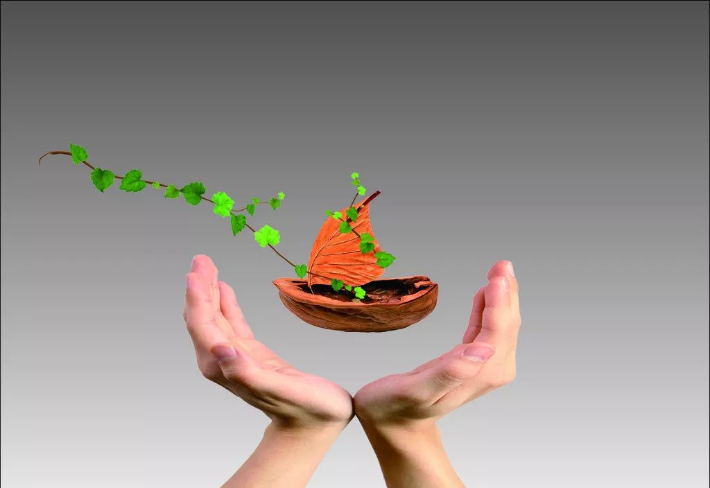 三之三教育,三之三教育理念