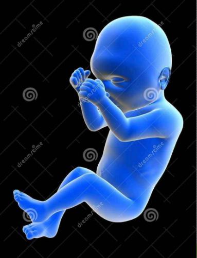 胎心监护要知道的事,有关胎心的科普