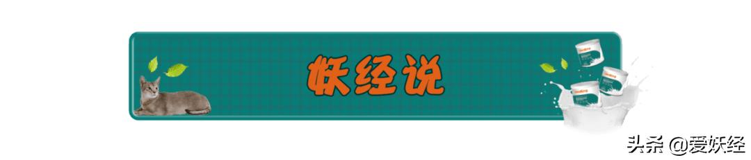 reddog红狗羊奶粉测评,红狗狗狗羊奶粉测评