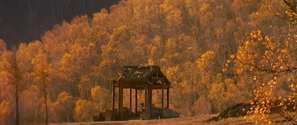 坝上秋色之金色草原,坝上金色草原风景