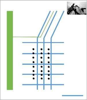 拈花湾禅意小镇讲解,无锡灵山拈花湾旅游攻略