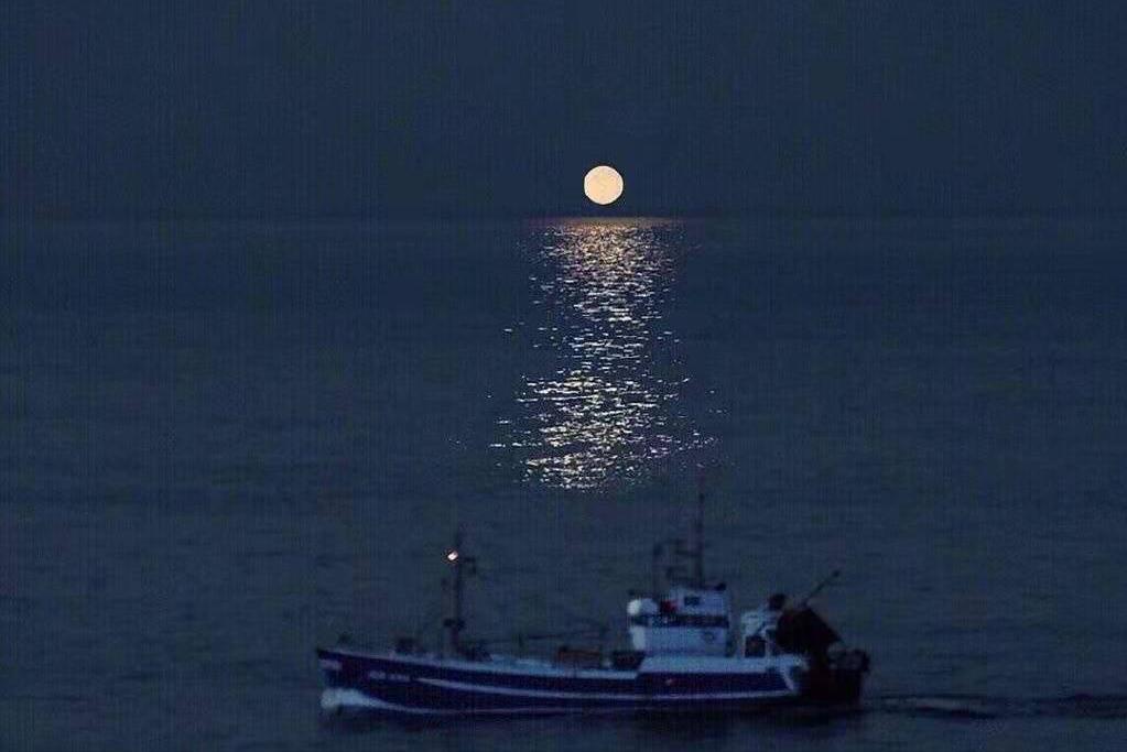 在人生的道路上，大多数人都曾是孤独的“旅行者”