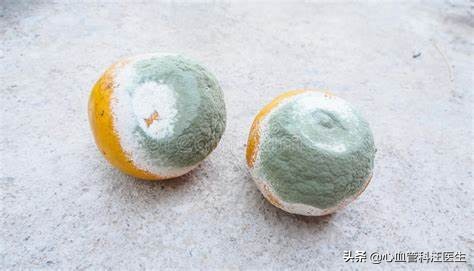 一个发霉的橘子热评,一个发霉的橘子