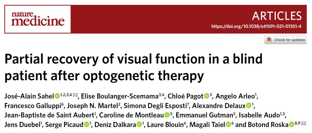 人工视觉盲人复明的希望,盲人眼睛重现光明