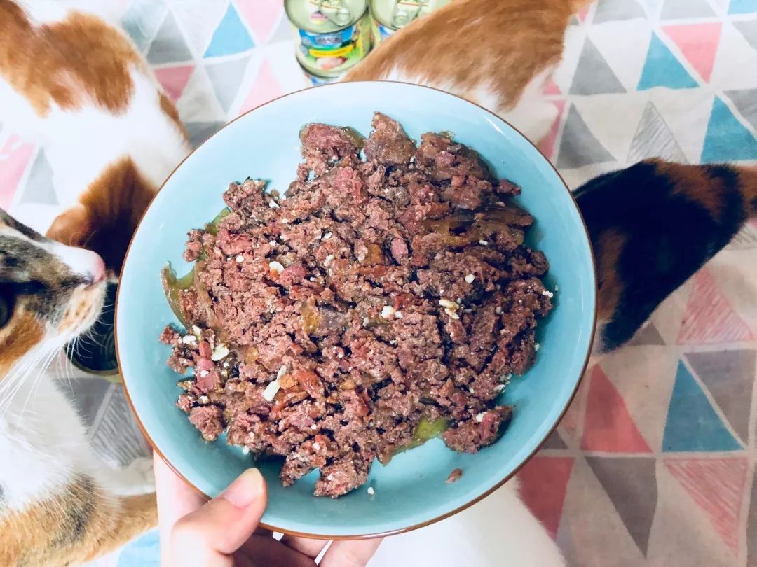 德国进口猫咪罐头,德国小李子猫咪主食罐头测评