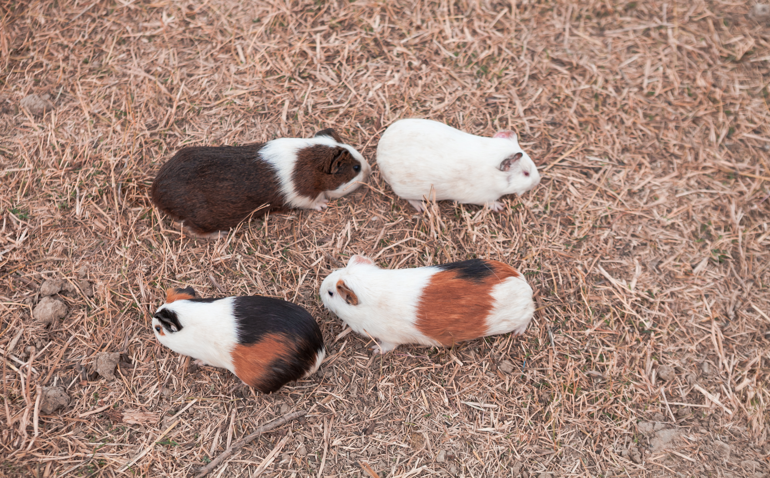 秋天的无锡美的醉人，去无锡旅行，这些好地方不要错过了