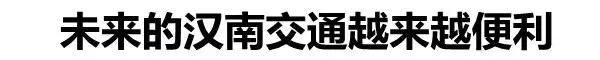 武汉最新示范区,武汉真正的核心区