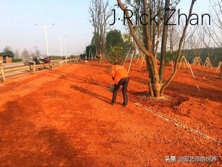 适合北方庭院种植的低矮草坪,家庭庭院怎样混搭种植草坪和蔬菜