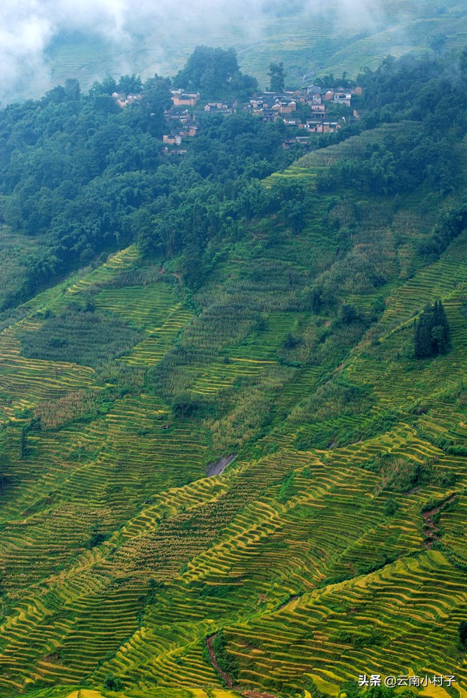 红河州最美哈尼族村寨,红河哈尼族千年梯田