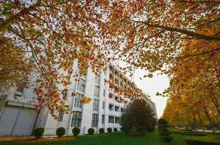 曾经的洛阳,曾经的洛阳第二师范学校