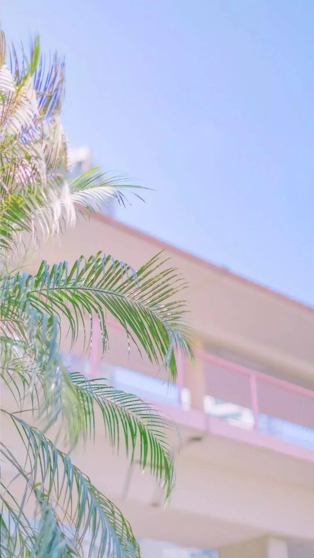 春风十里,不如安阳万达广场陪你。