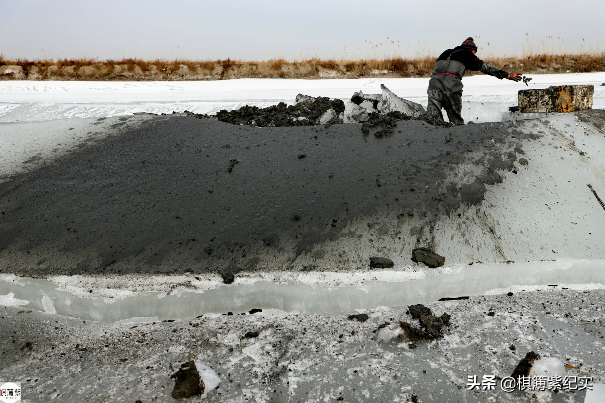 挖竹节蛏挣钱,赶海抓蛏子一天能赚多少钱