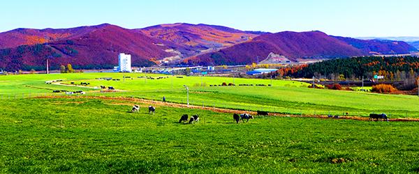 实现弯道超车的机会,实现弯道超车到达巅峰