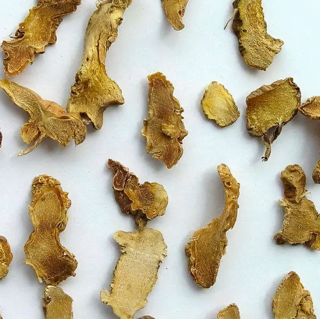 执业中药师常用单味药,中药药剂师必看的书